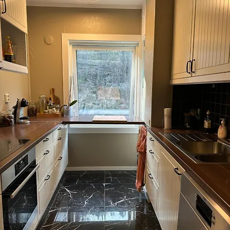 Med Nydelig Utsikt Over 베르겐