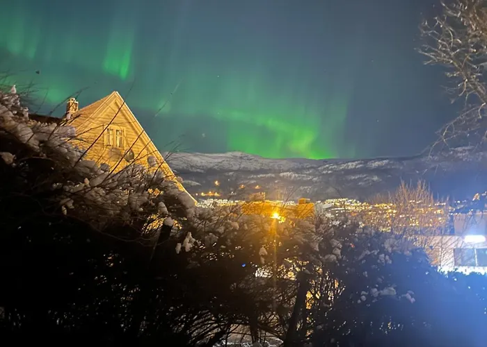 Апартаменты Familievennlig Leilighet Naer Sentrum *